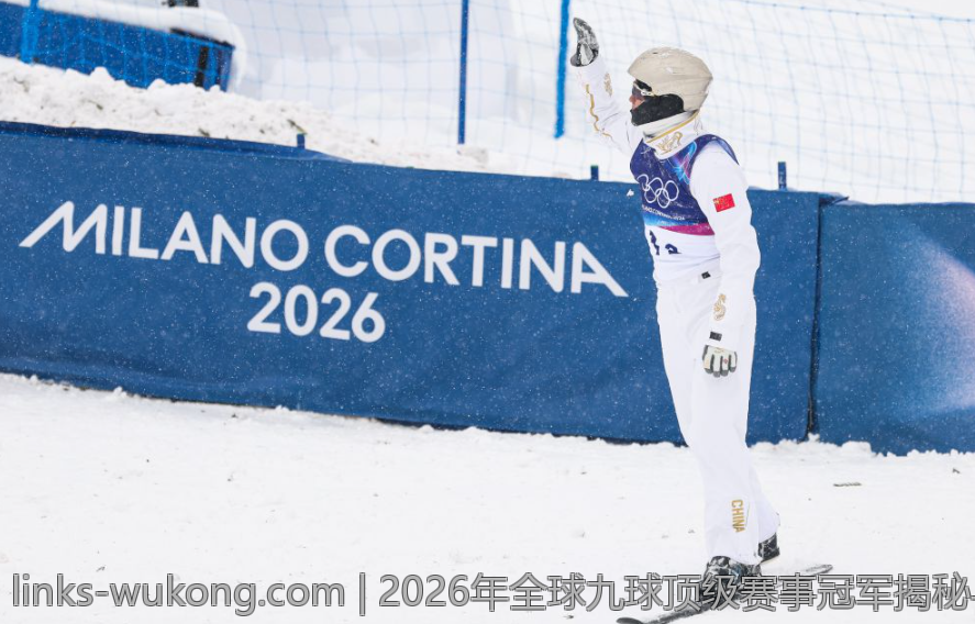 2026年全球九球顶级赛事冠军揭秘与精彩瞬间
