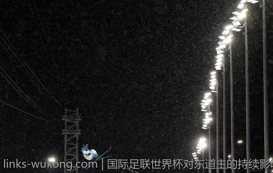 国际足联世界杯对东道主的持续影响