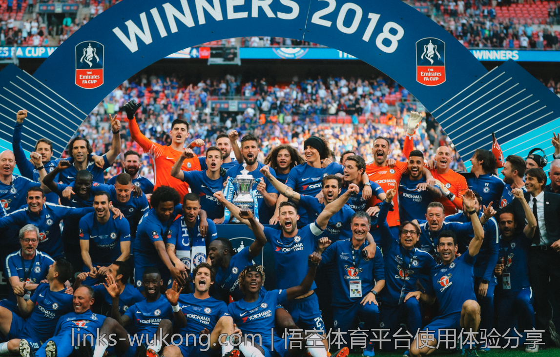 悟空体育平台使用体验分享